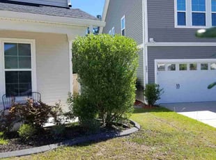 Bush Trimming by Derrick gadsden for Louie D. in Summerville, SC
