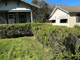 Bush Trimming by Marcus Ward for Katie C. in New Braunfels, TX