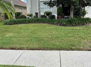 Laura H.'s Lawn Service service result