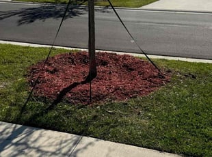 Mulching by Delson Auguste for Jennifer P. in Green Cove Springs, FL