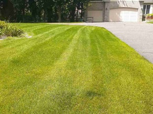 Kathy H.'s Lawn Service service result