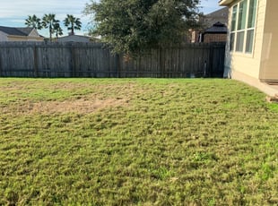 Cleanups by Melissa Robinson for Nichole E. in Converse, TX