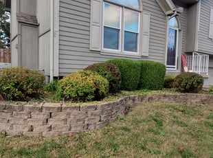 Bush Trimming by Johnny Mihm for Marcia C. in Kansas City, MO
