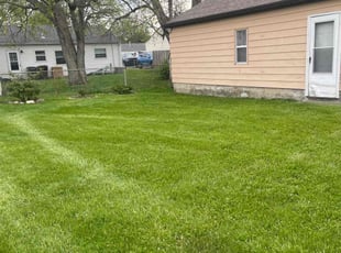 Marilyn P.'s Lawn Mowing Service service result