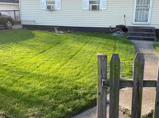 Melanthia W.'s Lawn Care service result