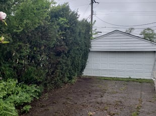 Bush Trimming by Alexander Pellot Ayala for Irene M. in Grove City, OH