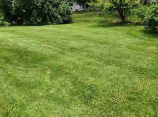 Alicia L.'s Yard Cutting service result