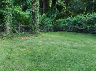 Bush Trimming by Willie P for Linley l. in Decatur, GA