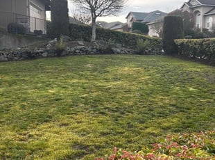 Christine S.'s Lawn Mowing service result
