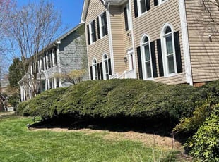 Bush Trimming by Isaiah Miller for Anthony C. in GREENSBORO, NC