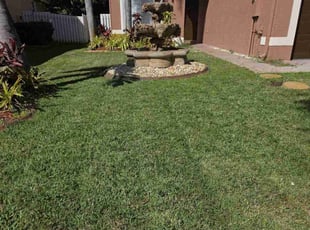 Gennadii G.'s Lawn Mowing service result