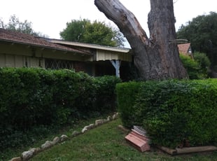 Bush Trimming by Gralin Johnson for 1002 Remington ranch road Mansfield Texas 76063. A. in Mansfield,, TX