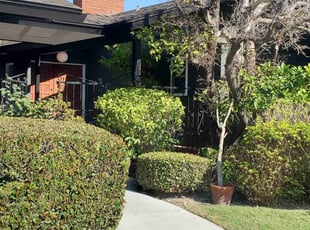 Bush Trimming by Bernardo Arroyo for Alexis B. in Los Alamitos, CA