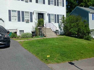 Michael G.'s Lawn Care service result