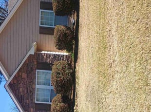 Bush Trimming by Ronaldo Hinton for Timothy Z. in Birmingham, AL