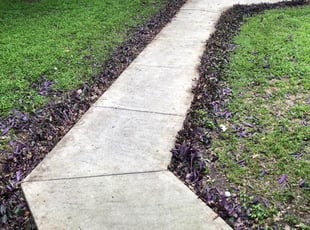 Landscaping by Miguel Garcia for Lee K. in San Antonio, TX