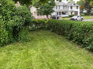 Weihong X.'s Bush Trimming service result