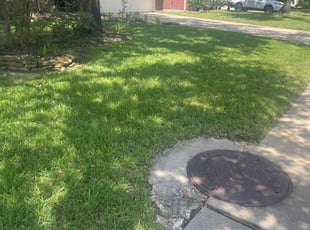Tracy M.'s Lawn Mowing service result