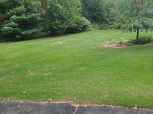 Corey F.'s Lawn Service service result