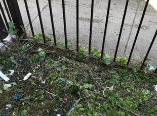 Cleanups by William McCoy for William H. in Chicago, IL