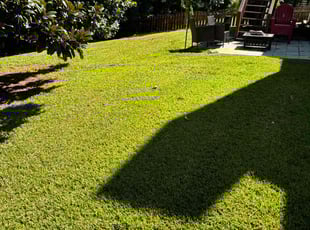 Ollie B.'s Grass Cutting service result