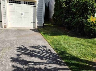 Robbie D.'s Lawn Care service result