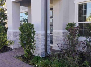 Bush Trimming by Marvel Carmichael for Chris K. in Winter Park, FL