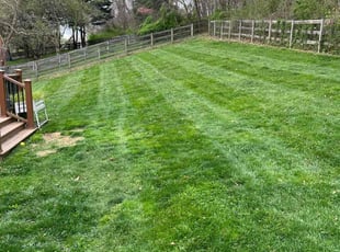 Peter F.'s Lawn Care service result