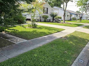 Melissa L.'s Lawn Service service result