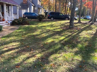 Leaf Removal by EV Jenkins-Benavides for Blaine H. in Richmond, VA