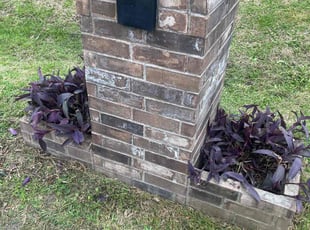 Cleanups by Oseas De la torre for Sondria T. in Rosharon, TX