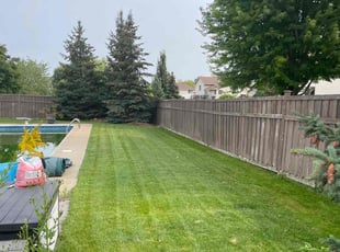 Christie A.'s Grass Cutting service result