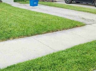 Sharon N.'s Lawn Mowing Service service result