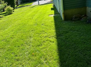 Steve P.'s Lawn Mowing Service service result