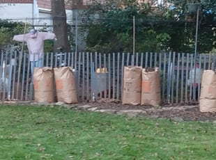 Leaf Removal by Gerald Oyerindr for Joshua P. in Decatur, GA