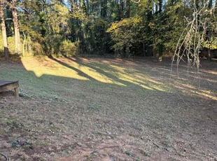 Cleanups by Courtland Davis for Janice H. in Lawrenceville, GA