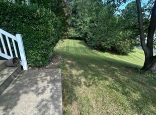 Byron E.'s Lawn Care service result