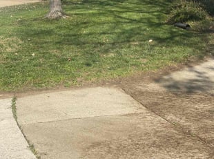 Leaf Removal by Derrick Crudup for Janet C. in Raleigh, NC