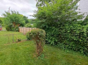 Bush Trimming by Titus Hayes for Carlette B. in Richmond, VA
