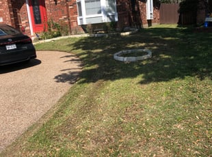 Cleanups by Roger Brock for Matthew M. in Dallas, TX
