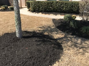 Mulching by Briana Rivera for Devon C. in Missouri City, TX
