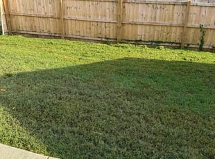 Weston S.'s Lawn Mowing service result