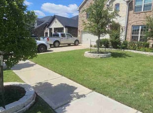 Lizbeth p.'s Yard Cutting service result
