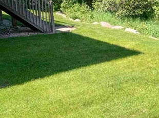 Cindy W.'s Lawn Mowing Service service result