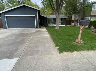 Nancy M.'s Lawn Mowing service result