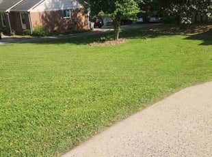 Michael t.'s Grass Cutting service result
