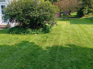 Kim M.'s Lawn Mowing service result