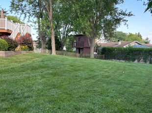 Seemi J.'s Lawn Mowing service result