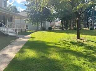 David P.'s Lawn Service service result