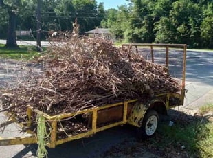 Cleanups by Felton Roberson for Chris M. in Pensacola, FL